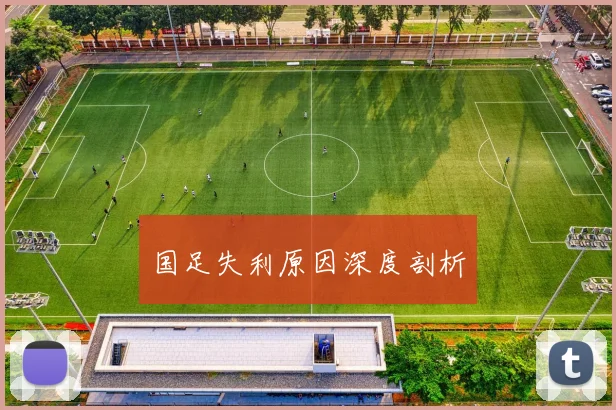 国足失利原因深度剖析